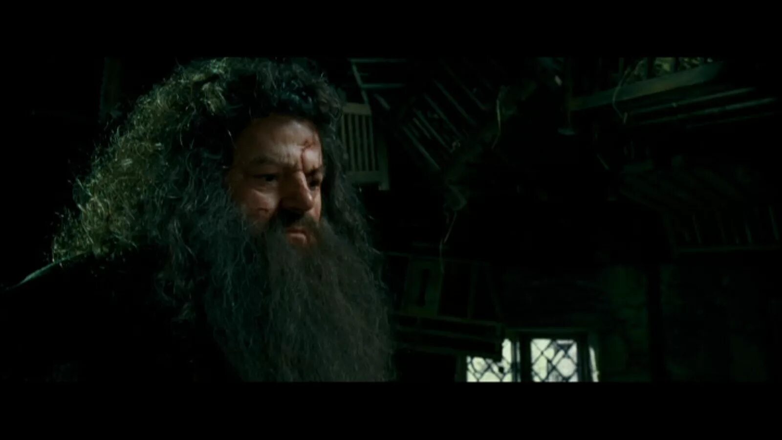 хагрид картина. хагрид кубок огня. картина хагрид со шляпой. хагрид и шляпа. хагрид с собакой.