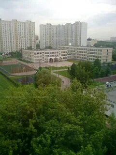 Аллея жемчуговой