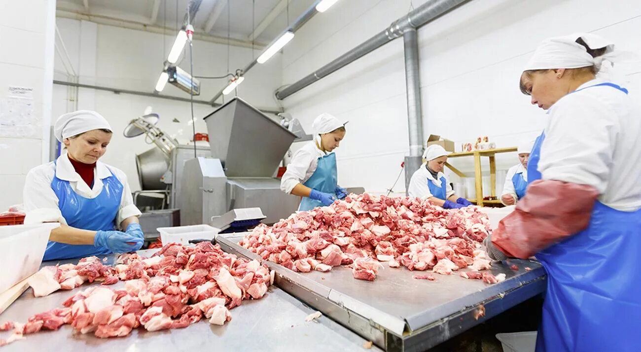 Совхоз звениговский шелангер. Спк звениговский. Iffa звениговский. Звениговский мясокомбинат поселок шелангер. Директор звениговского мясокомбината марий эл.