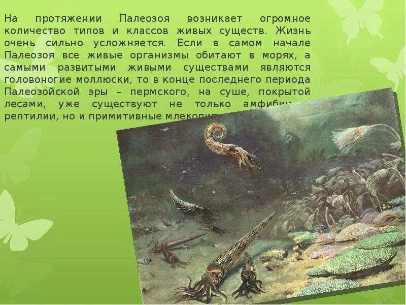Силур период растения. Силурийский период палеозойской эры таблица. Кембрийский период палеозойской эры. Кембрийский период трилобиты. Палеозойская эра трилобиты.