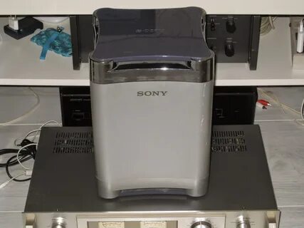 Қыздар жігітті жұлқылап, сорып алады