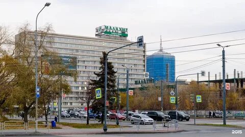 Чипе курск
