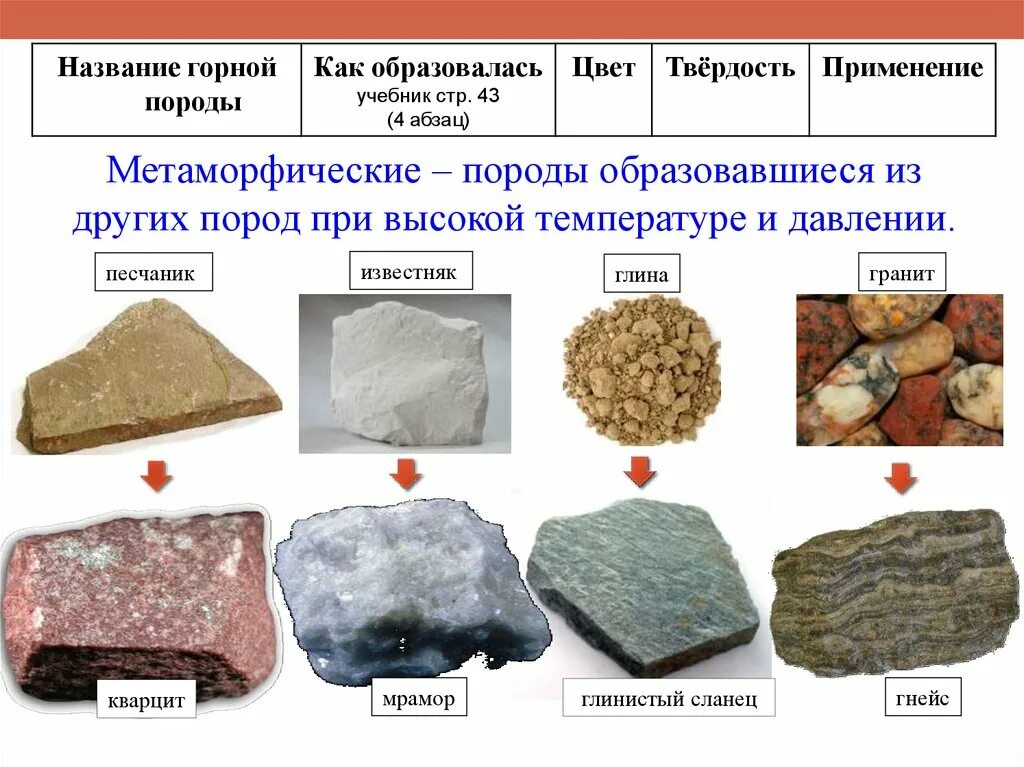 Примеры химических горных пород. Горные породы метаморфические породы. Брекчия метаморфические горные породы. Горные породы метаморфического происхождения. Песчаник метаморфические горные породы.