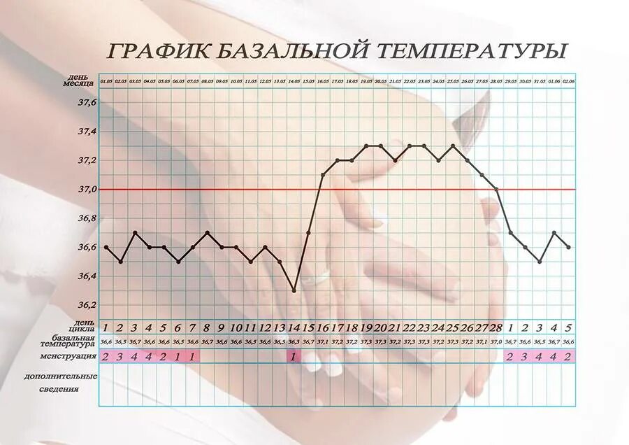 Держится 37 неделю причины. Базальная температура перед месячными. График измерения базальной температуры. График базальной температуры перед месячными. График БТ перед месячными при беременности.