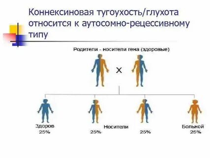 Ген глухоты