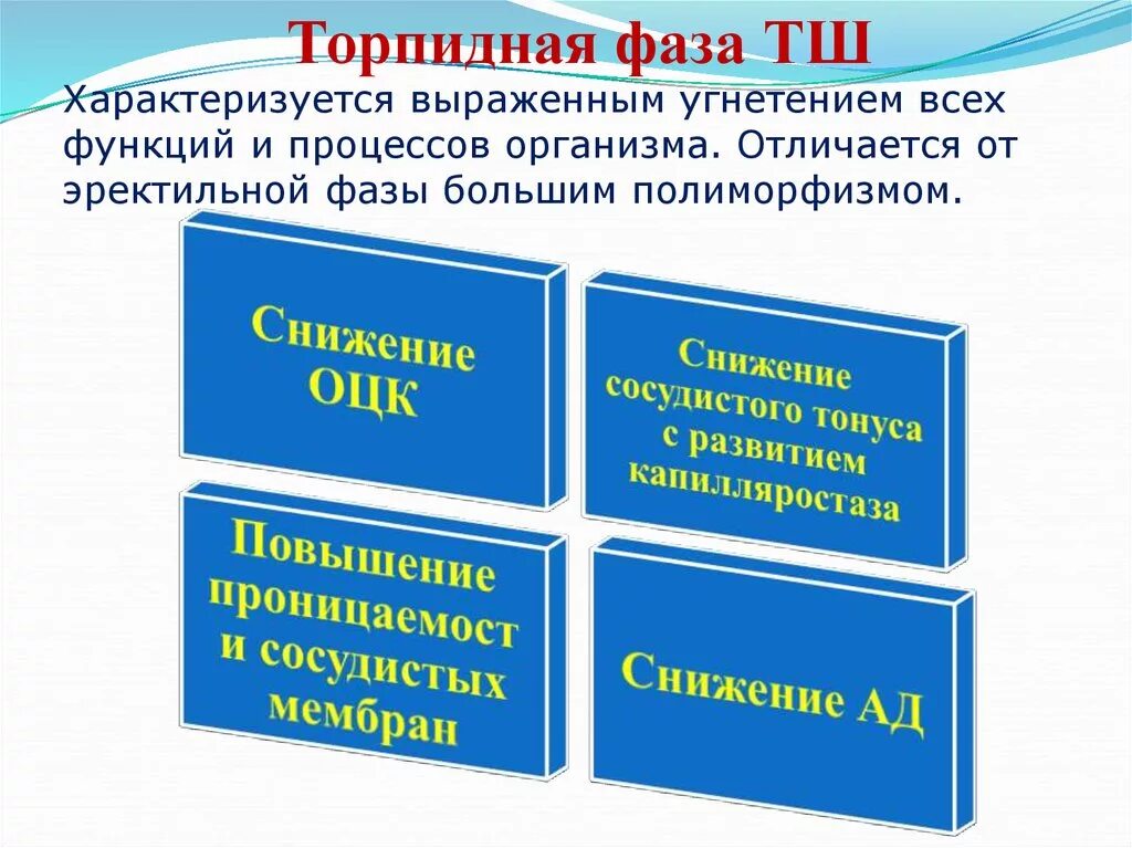 Эректильная и торпидная фазы. Торпидная фаза помощь медсестры алгоритм. Мышление торпидное,последовательное.