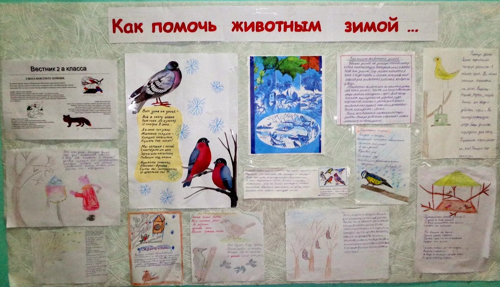 Как помочь животным CoffMachines.ru