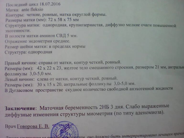 Узи на сроке 6 недель