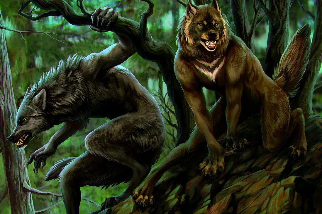 Варг фенрир. Волк оборотень werewolf. Якуб розальски оборотень. Волколаки толкин. Вервольф волк оборотень.