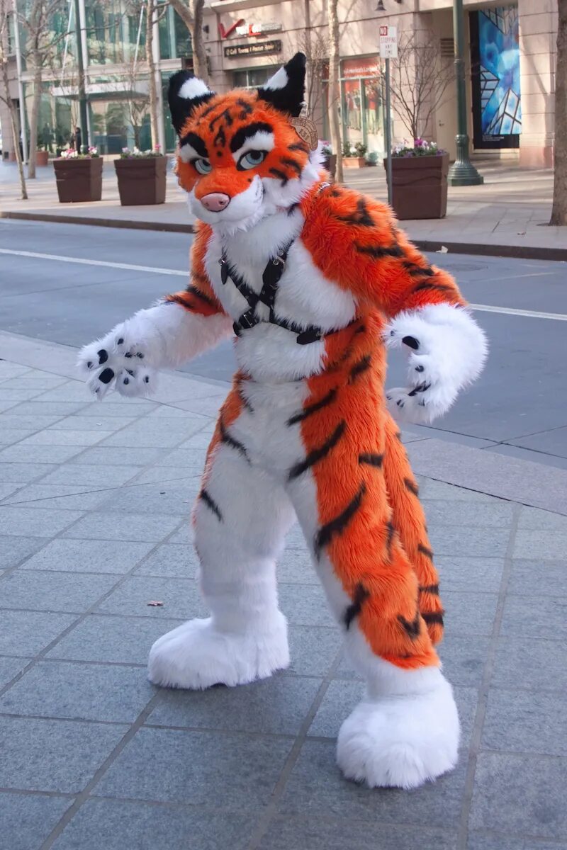 Furry cosplay. Tiger Tiger фурсьют. Фурри косплей. Ростовая кукла фурри. КОСПЛЕЙЩИКИ фурри.