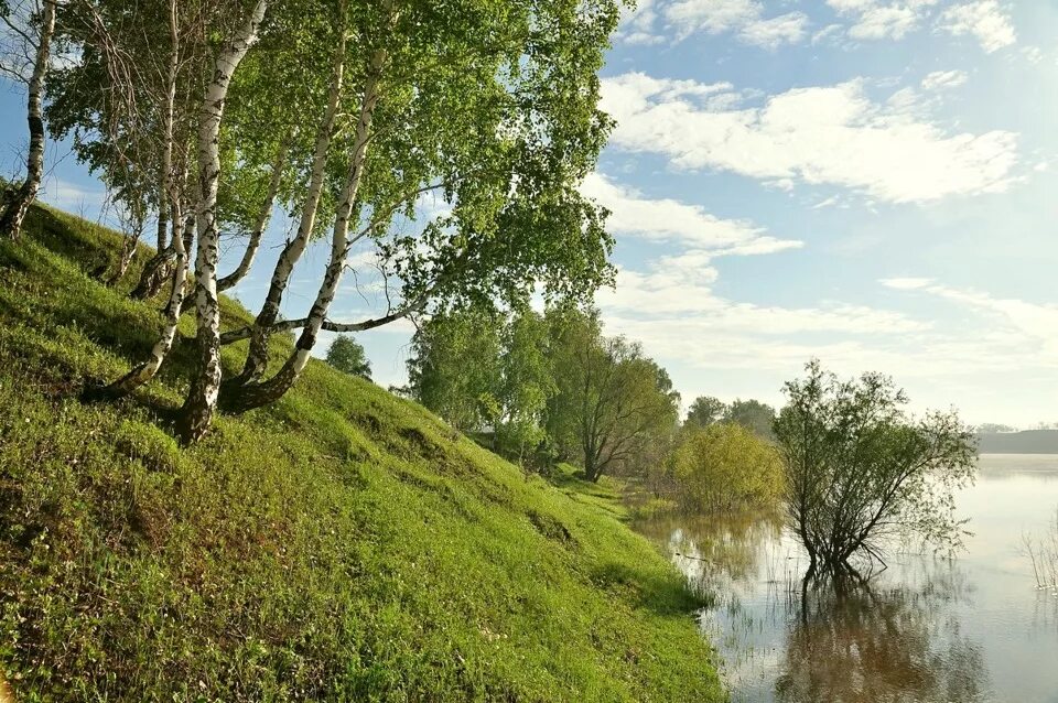Природа на татарском. Омка река. май в россии фото. природа татарского района новосибирской области. природа в нижней омке летом.