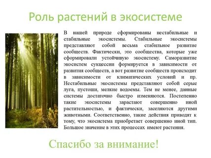Что значит трава