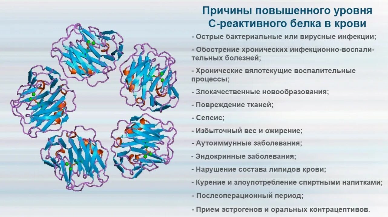 C-реактивный белок -1. С-реактивный белок причины повышения. Среактивныц белок плвышен. Исследование уровня с-реактивного белка в крови.