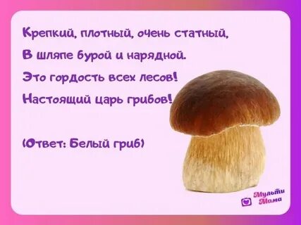 Загадка про грибы для детей 5 6