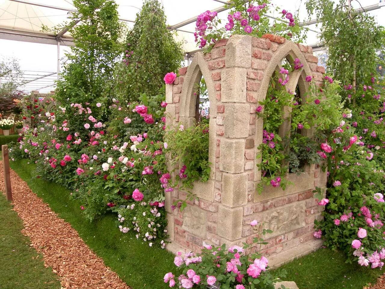 Розарий в саду. Плетистые розы рабатка.