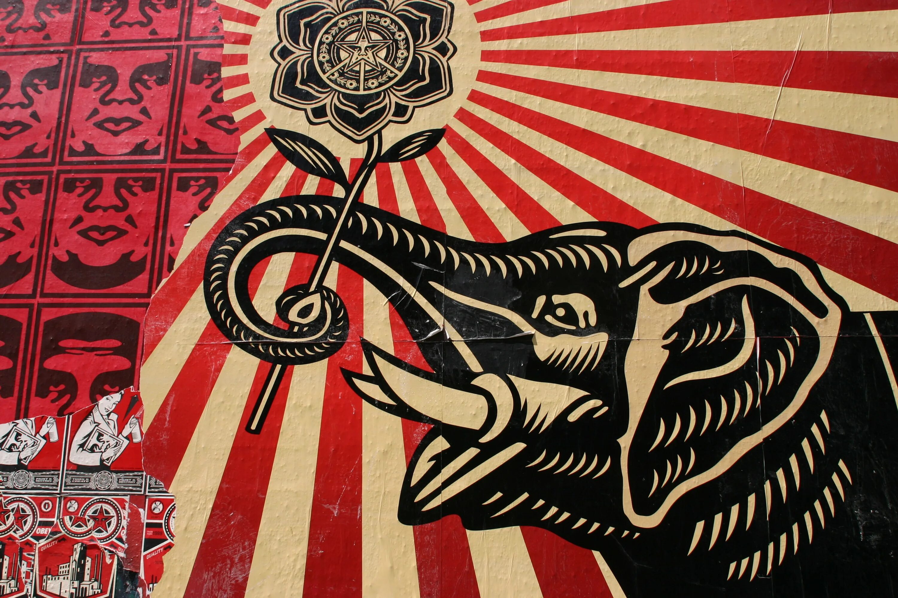 Шепард фейри. Shepard Fairey художник. Obey Shepard Fairey. Шепард Фейри картины.