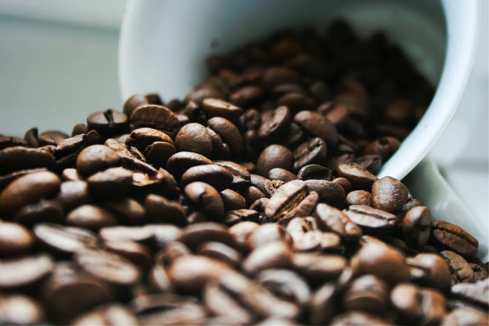 Что такое specialty coffee