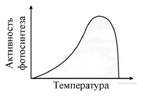 Во время эксперимента ученый измерял скорость