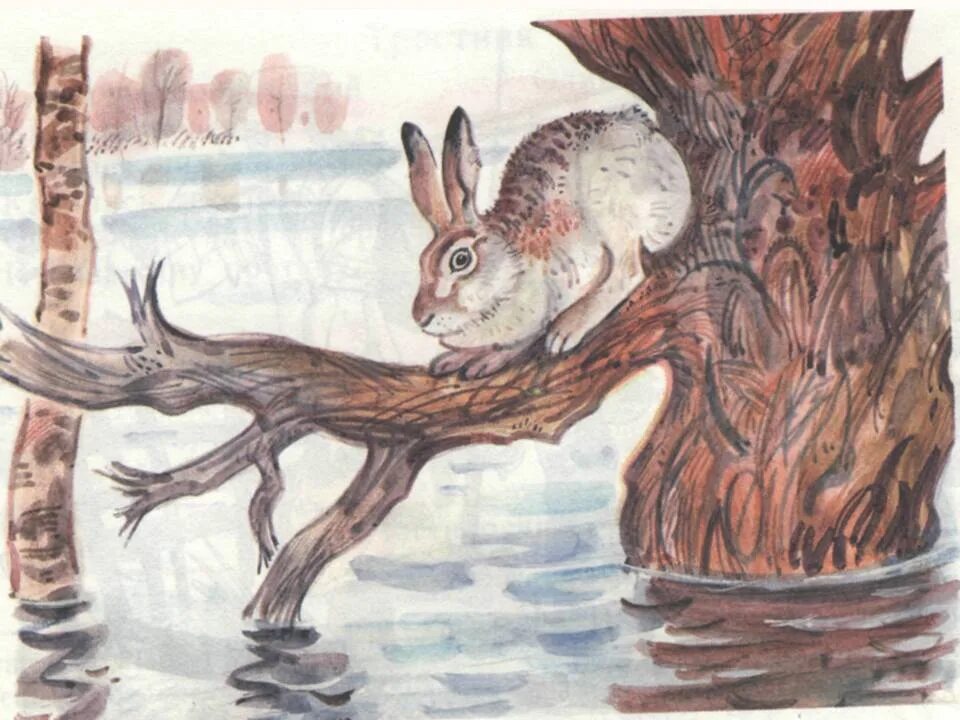 Картина Алексея Никаноровича Комарова наводнение. Картина а.н.Комарова заяц на дереве. Заяц жил на островке вода в реке
