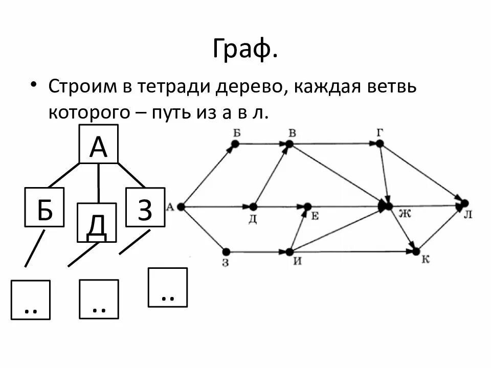 Ветви графа. Число ветвей дерева графа.