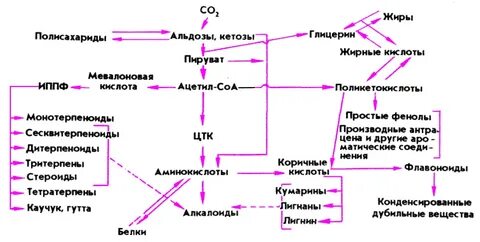 Вторичные метаболиты