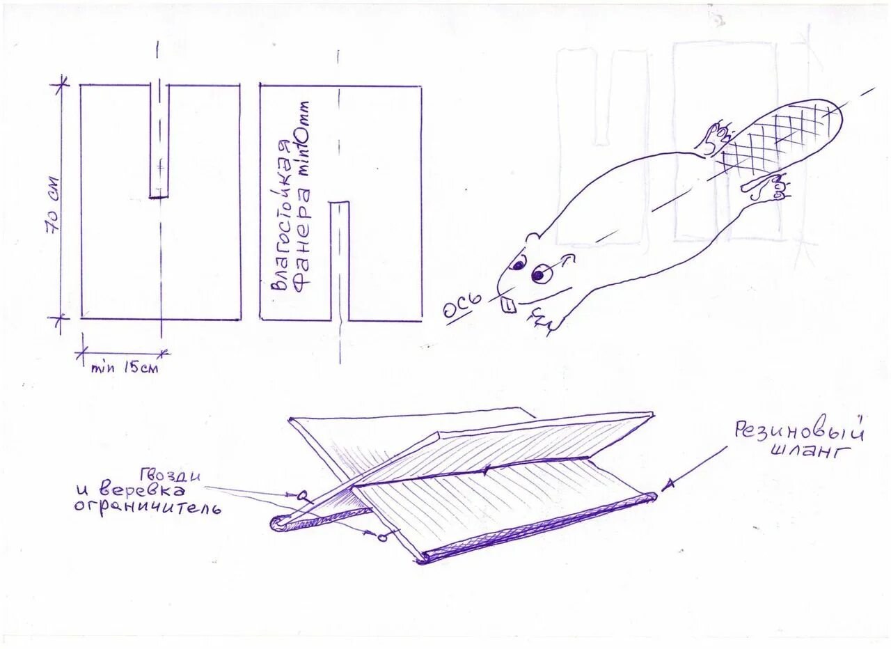 Бобёр чертёж. Поделка Бобр. Чертежи на капканы на бобра как сделать. Схема бобра