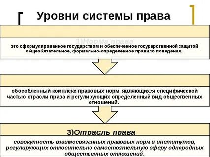 Первичный элемент системы законодательства