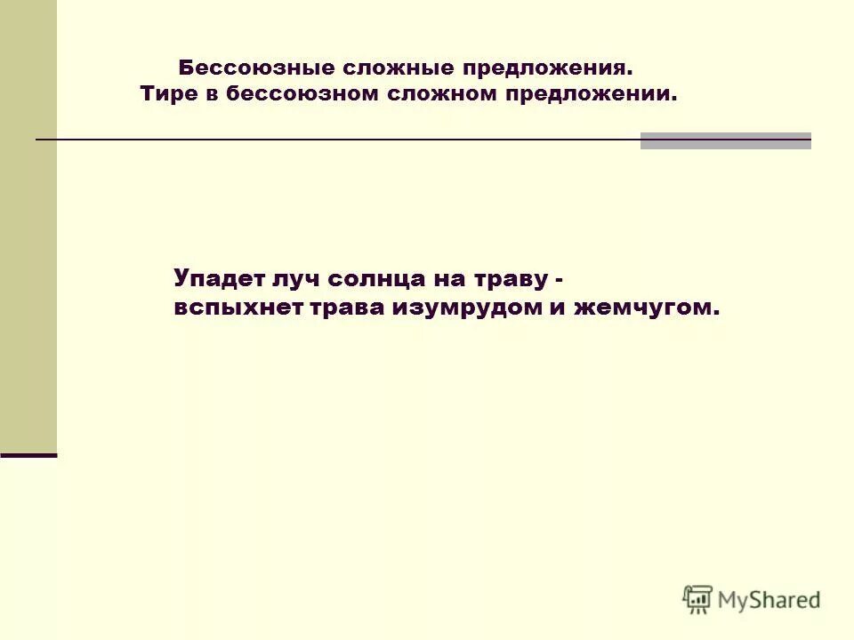 утро трава солнце. летнее утро. трава солнце. луч солнца упал на. обои трава солнце.