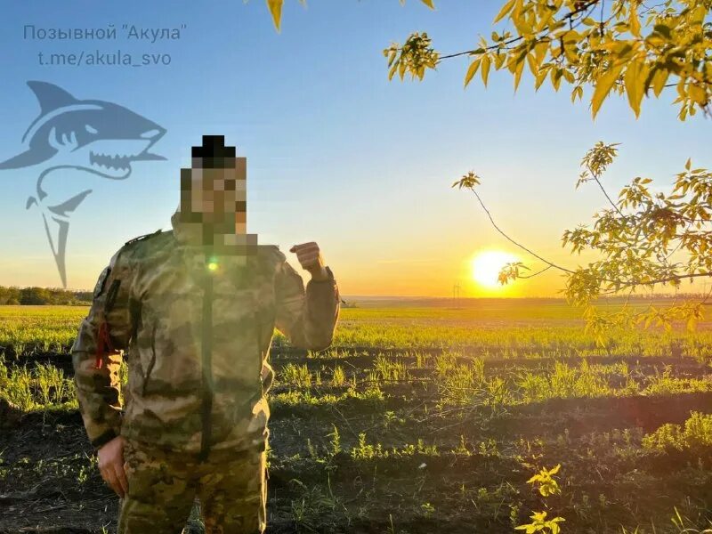 спецоперация z. сачко алексей владимирович доброволец. герои спецоперации. позывной акула. красивый позывной акула.