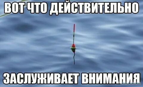 Заслуживает пристального внимания