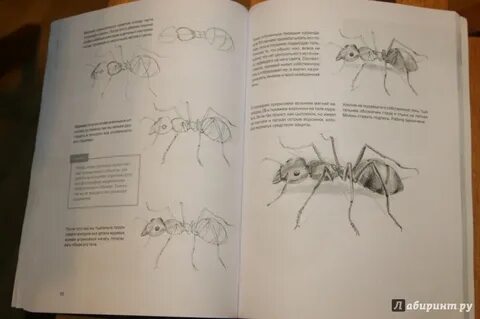 Книга пошаговая
