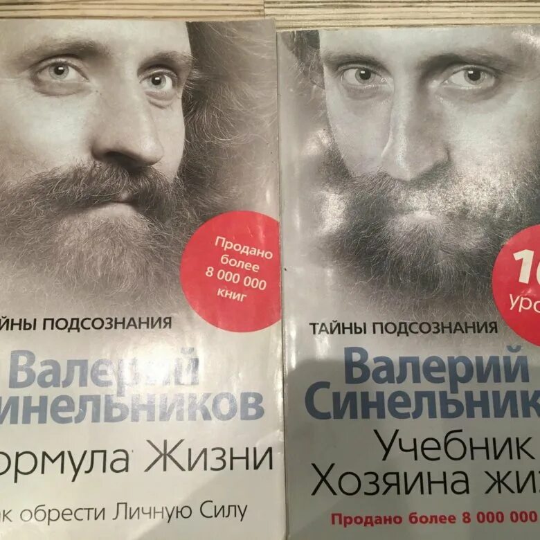 Хозяин жизни читать. Синельников хозяин жизни.