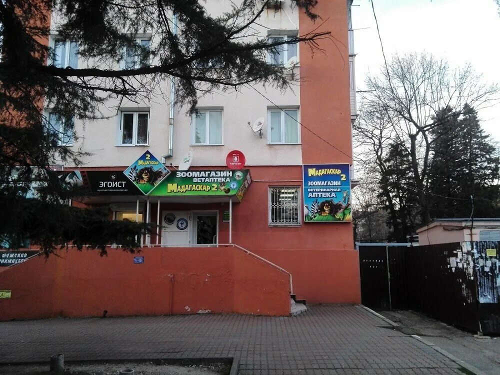 дизайн зоомагазина. зоомагазин 2. как обустроить магазин зоотоваров. зооцентр дино. зоомагазин на таганрогской 126 в ростове на дону.