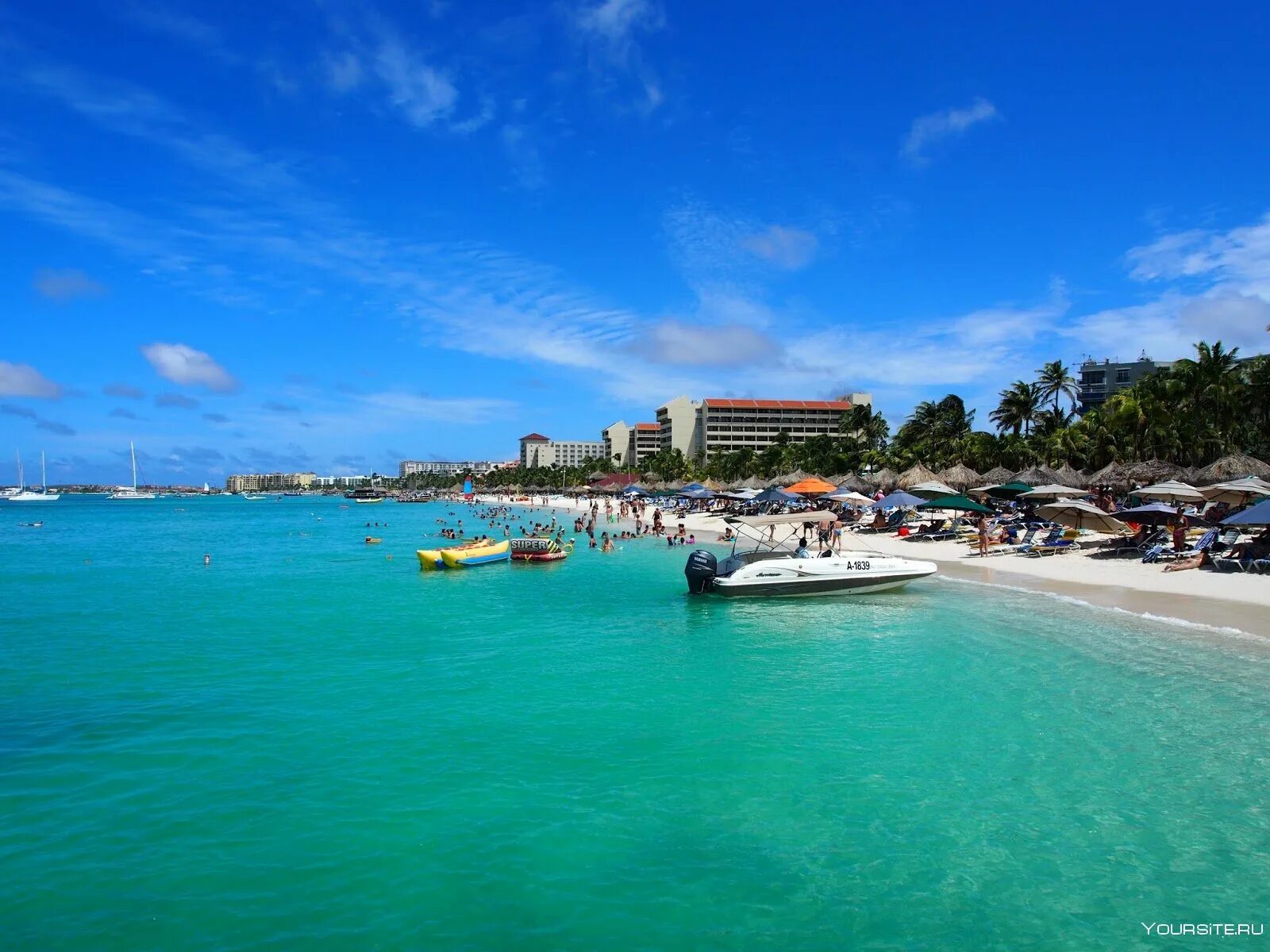 Аруба остров фото Divi Aruba All Inclusive Beach Picture of Divi Aruba All Inclusive Tripadvis