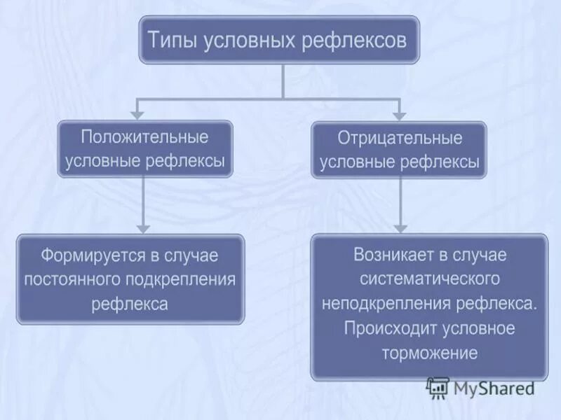 Какие защитные рефлексы