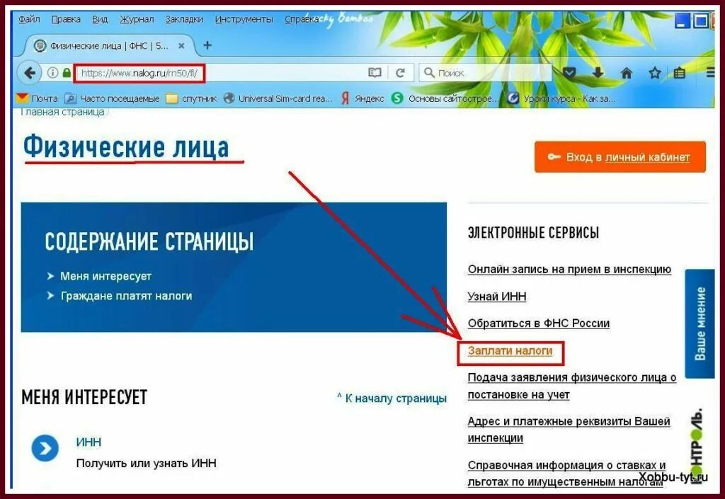 Как оплатить налог сайту