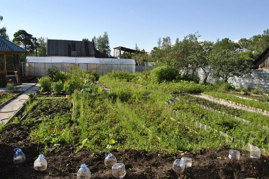 Городской поселок ульяновка ленинградская область. Ульяновка (Ленинградская область). Пгт Ульяновка. Ульяновка Тосненского района. Деревня Ульяновка Ленинградская область.