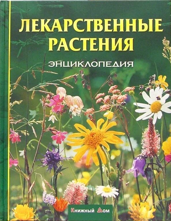 Книга про травы. Лечебные травы книга. Книга лекарственные травы. Книга про травы. Книга на траве.