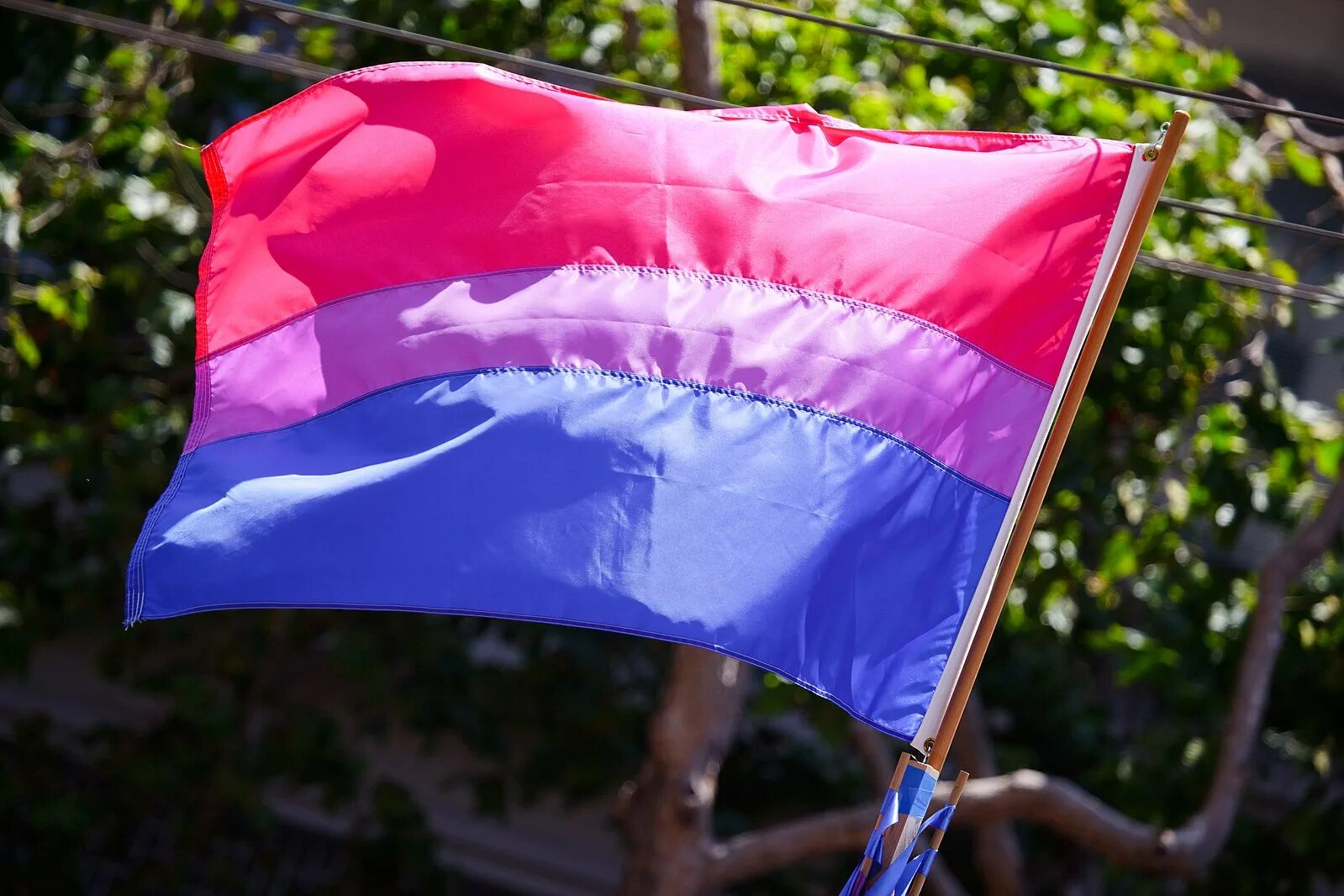 Bisexual Pride флаг. Флаг ЛГБТ. Флаг би ЛГБТ. Фото флага.