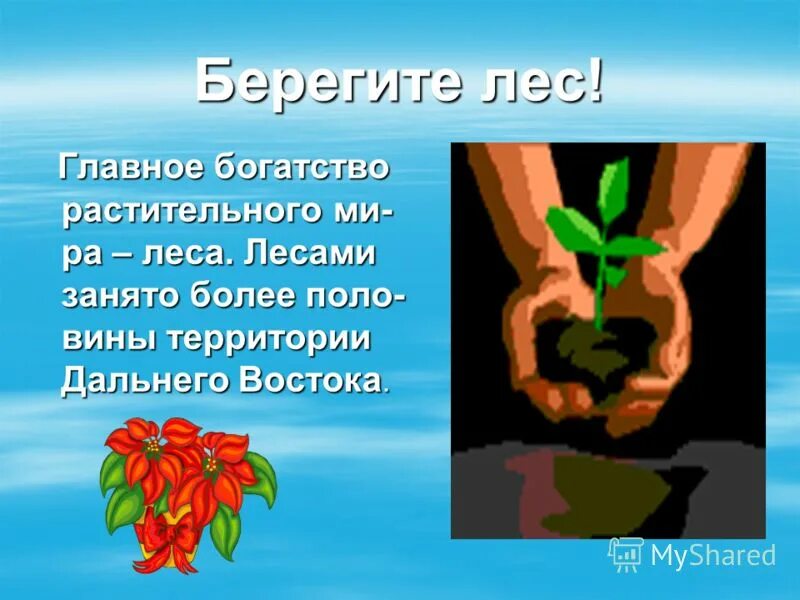 презентация береги лес