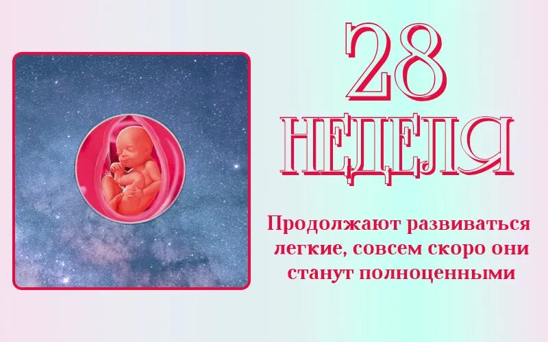 Эмбрион на 28 неделе беременности. Ребёнок на 28 неделе беременности. 28 недель беременности что происходит с мамой
