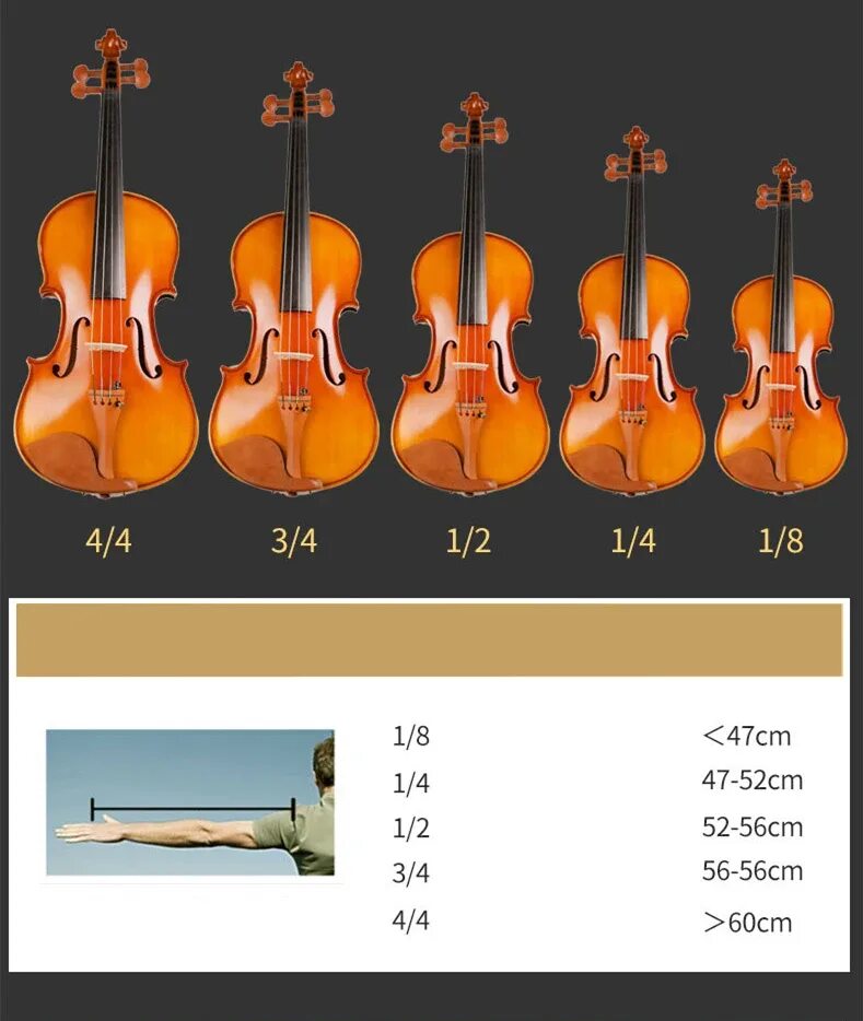 Скрипка выбор. Размеры скрипок. Размер скрипки 4/4. Скрипка 1/8 размер. Скрипка 1/4 размер.