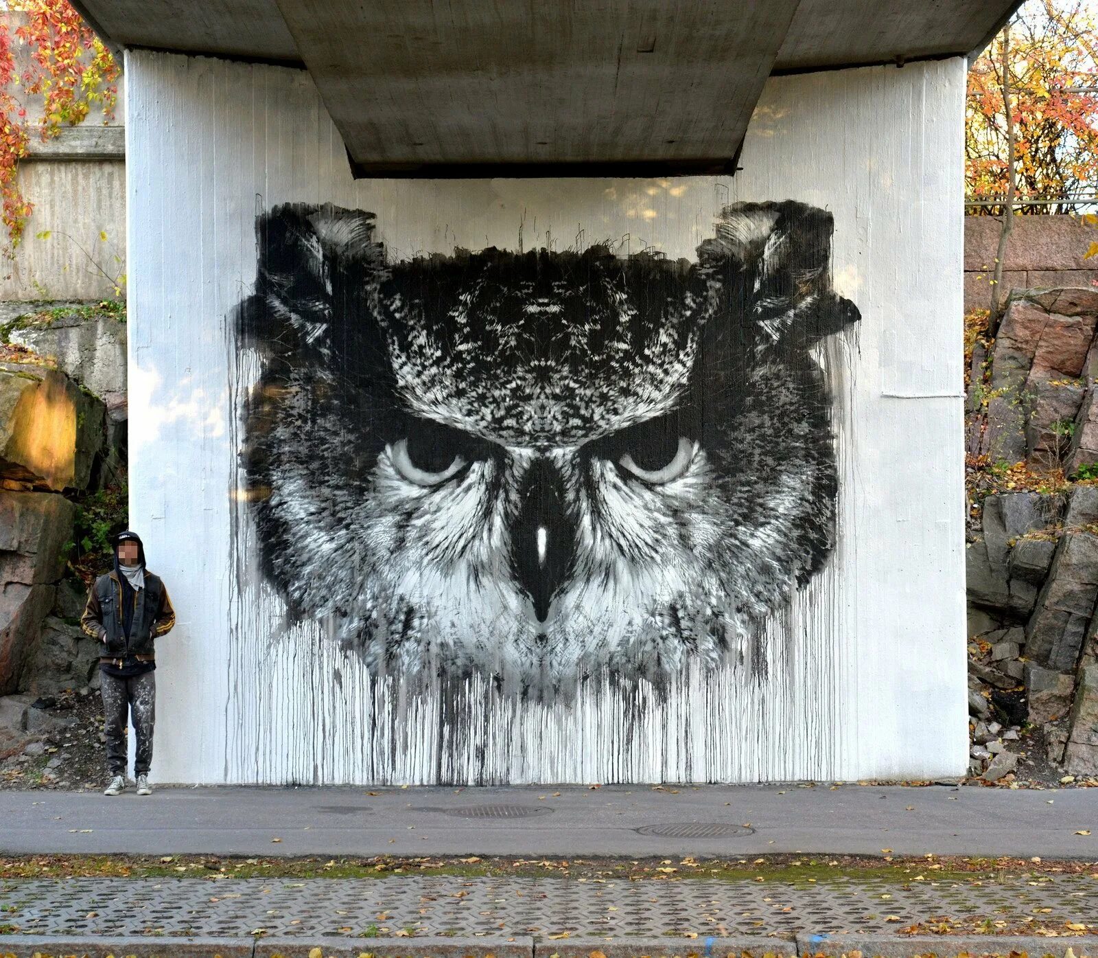 Пасила Хельсинки стрит арт. Сова граффити. Филин граффити. Фотообои граффити Сова.