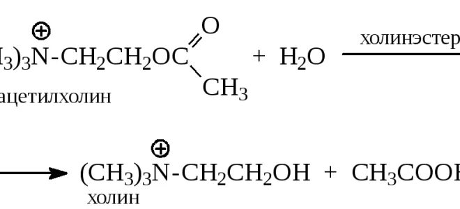 холинэстераза биохимия. холинэстераза. холинэстераза что это такое. холинэстераза реакция. холинэстераза что это такое.