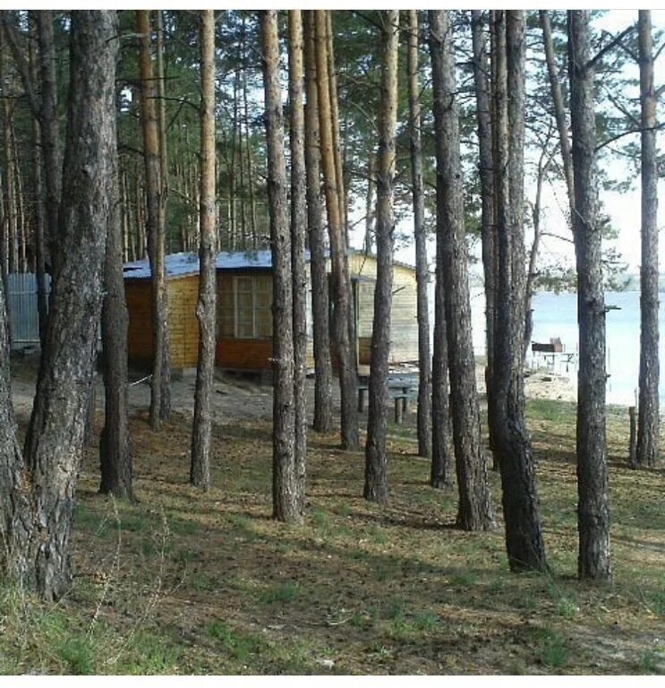 Спутник муранка. Муранка самарская область турбаза. Турбаза сосновый бор муранка. Спутник муранка. Спутник муранка.