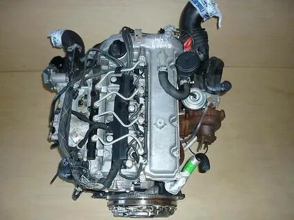 D 2 9 d 20