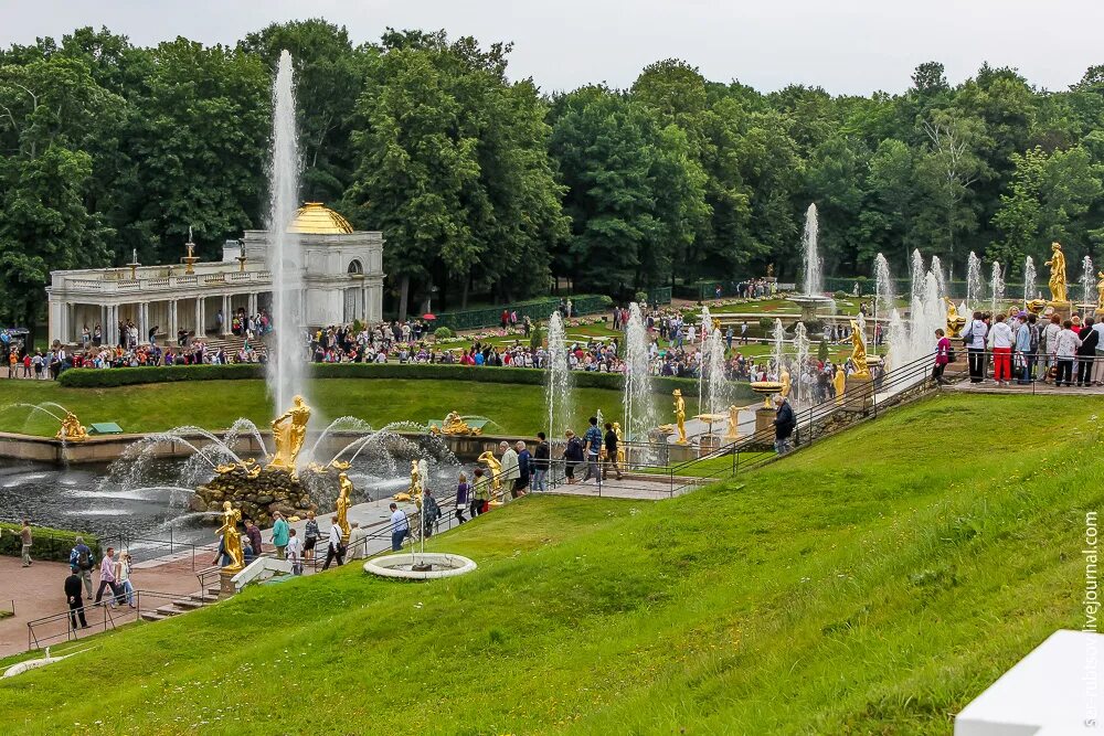 Петергоф Нижний парк. Нижний парк Петергофа Петергоф фонтаны. Нижние фонтаны в Петергофе. Петергоф верхний парк и Нижний парк.