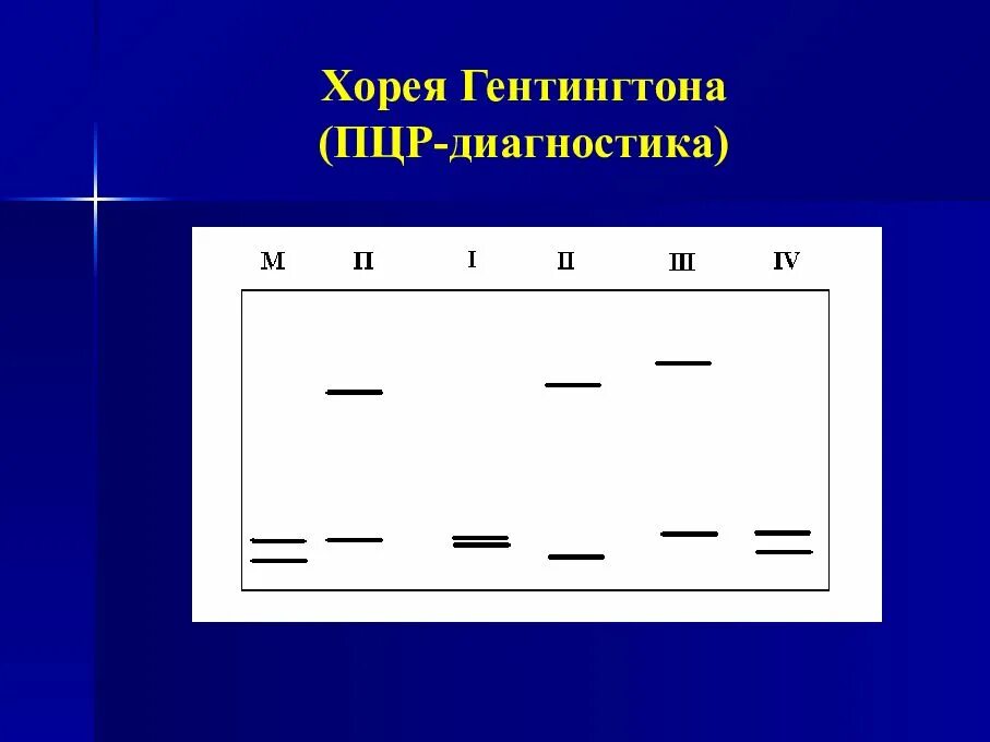 Мета трансляция. Хорея Гентингтона. Хорея диагностика. Диагностика Гентингтона.