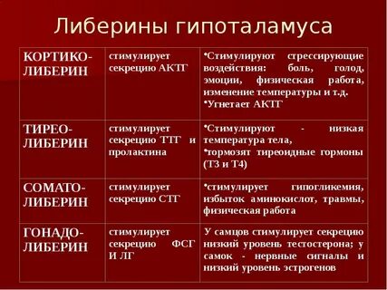 Недостаток гормонов гипоталамуса