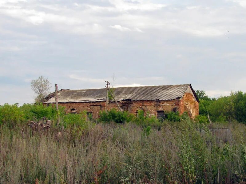Памятники погибшим пилотам. Погода луговое богучарского воронежской. Церковь старотолучеево. Погода луговое богучарского воронежской. Красногоровка воронежская область.